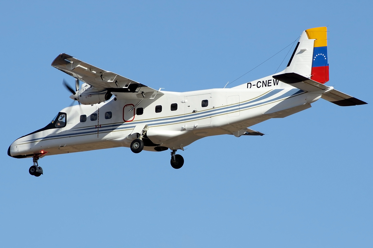 D-CNEW (8303) Dornier (RUAG) 228NG