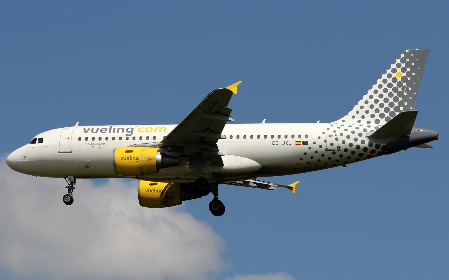 EC-JXJ (2889) 2006 Airbus A319-111