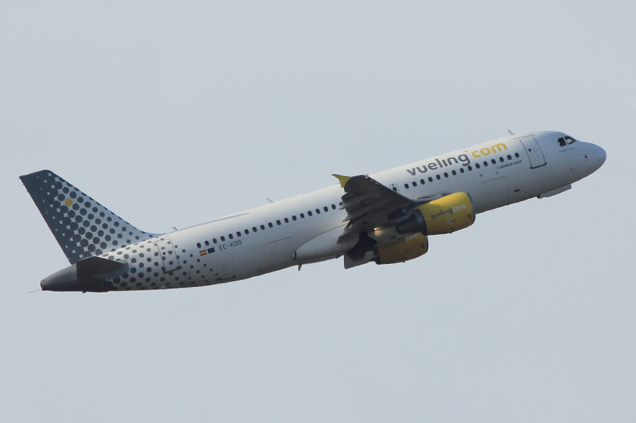 EC-KDG (3095) 2007 Airbus A320-214