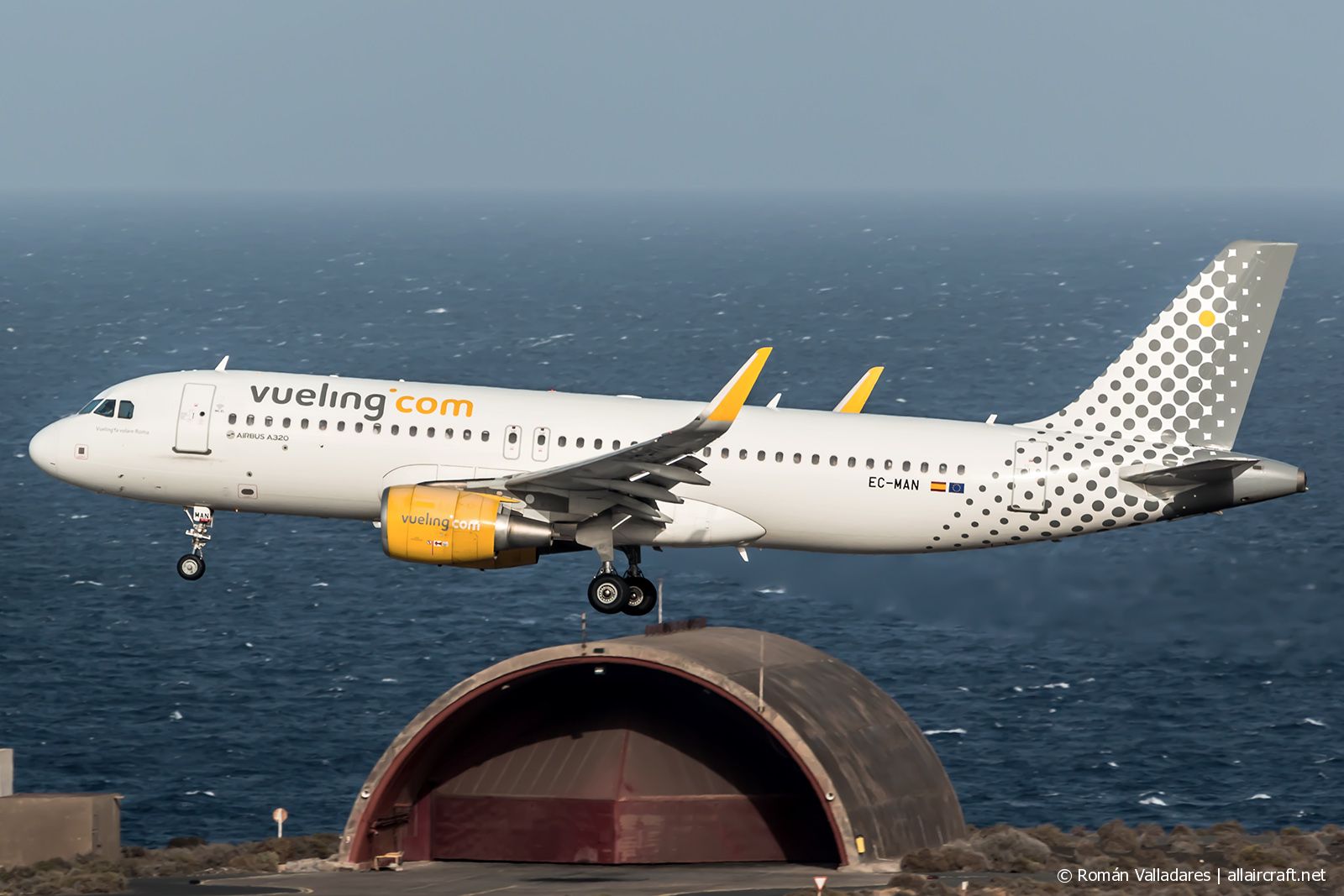 EC-MAN (6079) 2014 Airbus A320-214(WL)