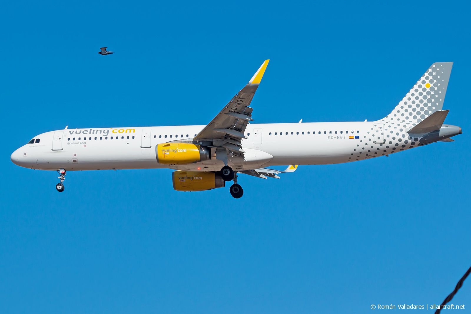 EC-MGY (6638) 2015 Airbus A321-231(WL)