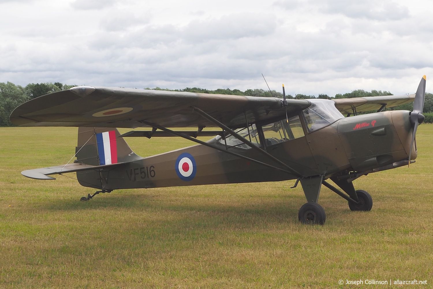 VF516 (B.629) 1946 Beagle A-61 Terrier 2