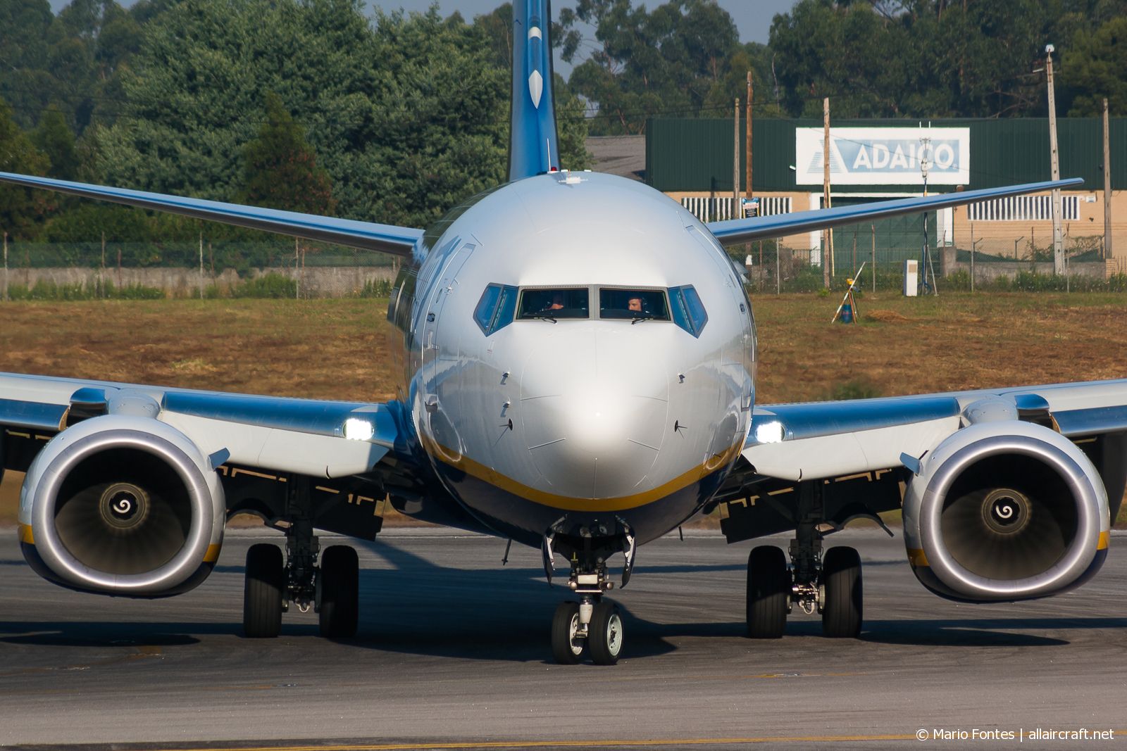 EI-FZF (44779) 2017 Boeing 737-8AS(WL)