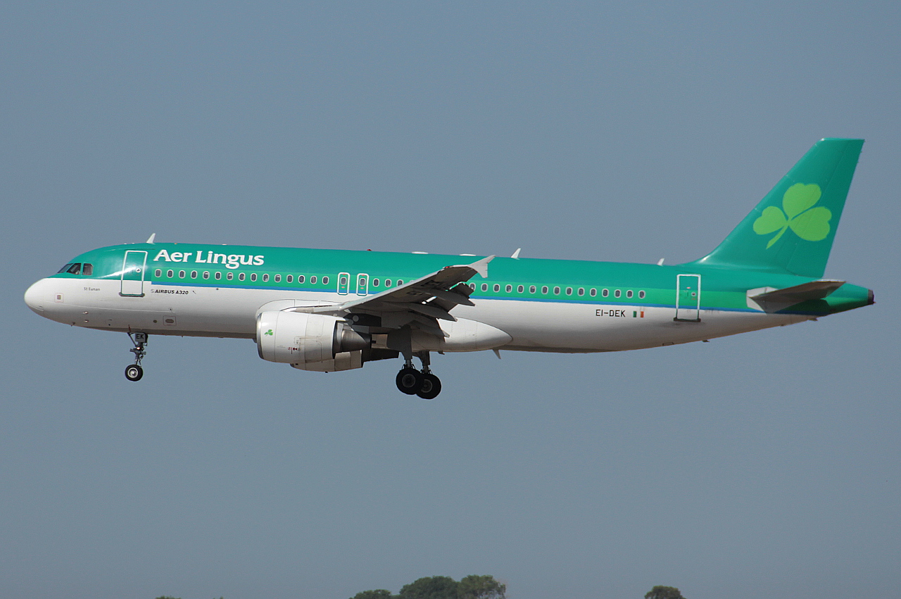 EI-DEK (2399) 2005 Airbus A320-214