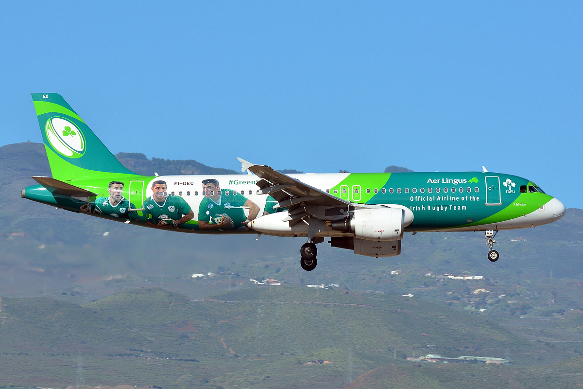 EI-DEO (2486) 2005 Airbus A320-214