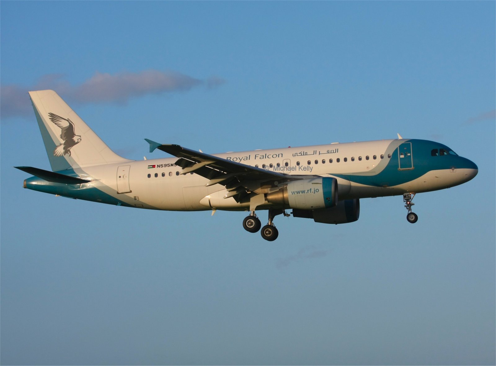 N595MS (1124) 1999 Airbus A319-112
