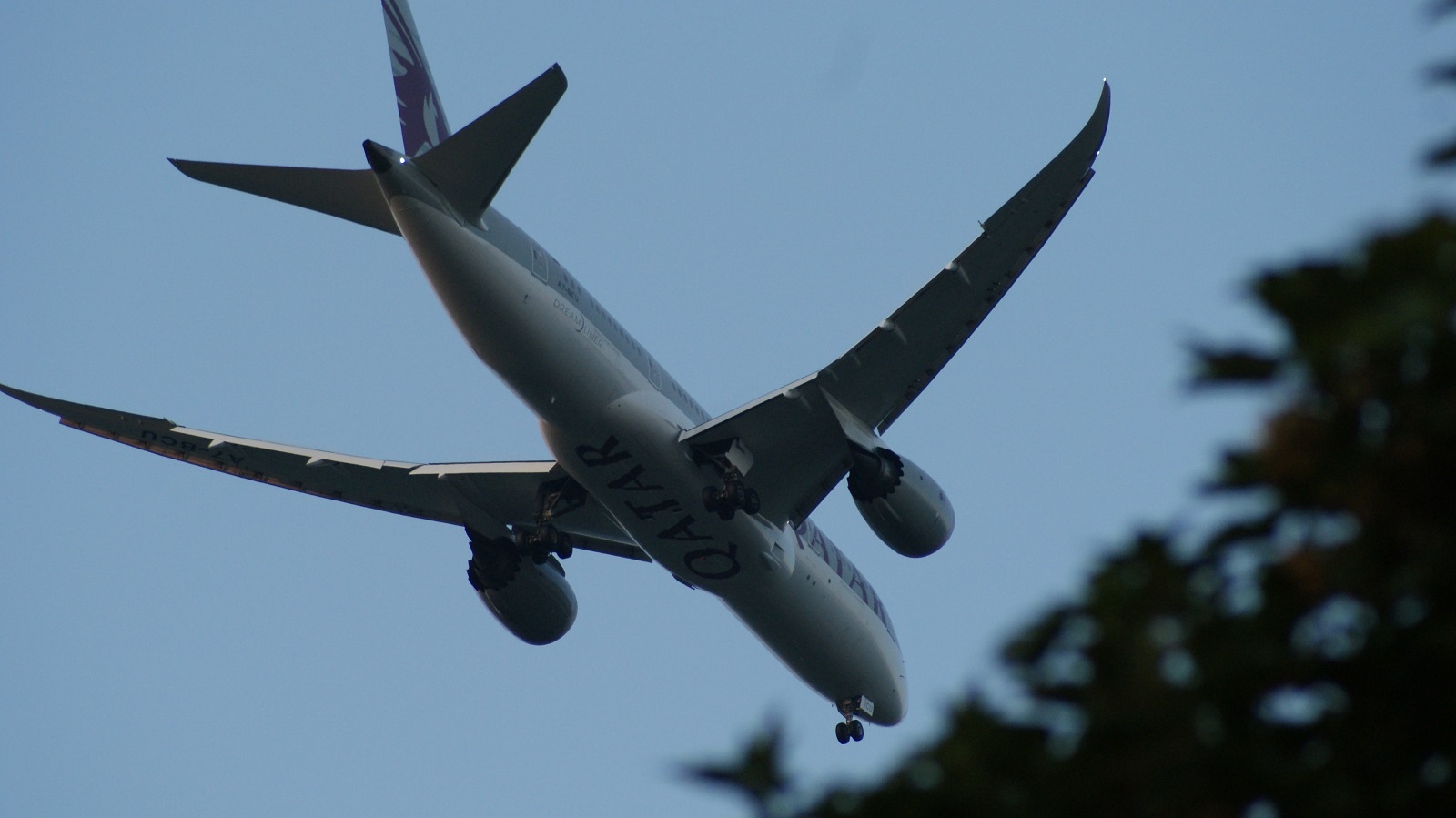 A7-BCU (38339) 2015 Boeing 787-8 Dreamliner