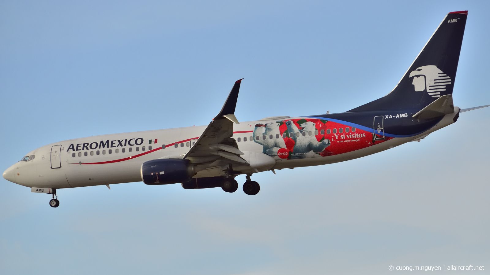 XA-AMB (cn 36703) Boeing 737-852