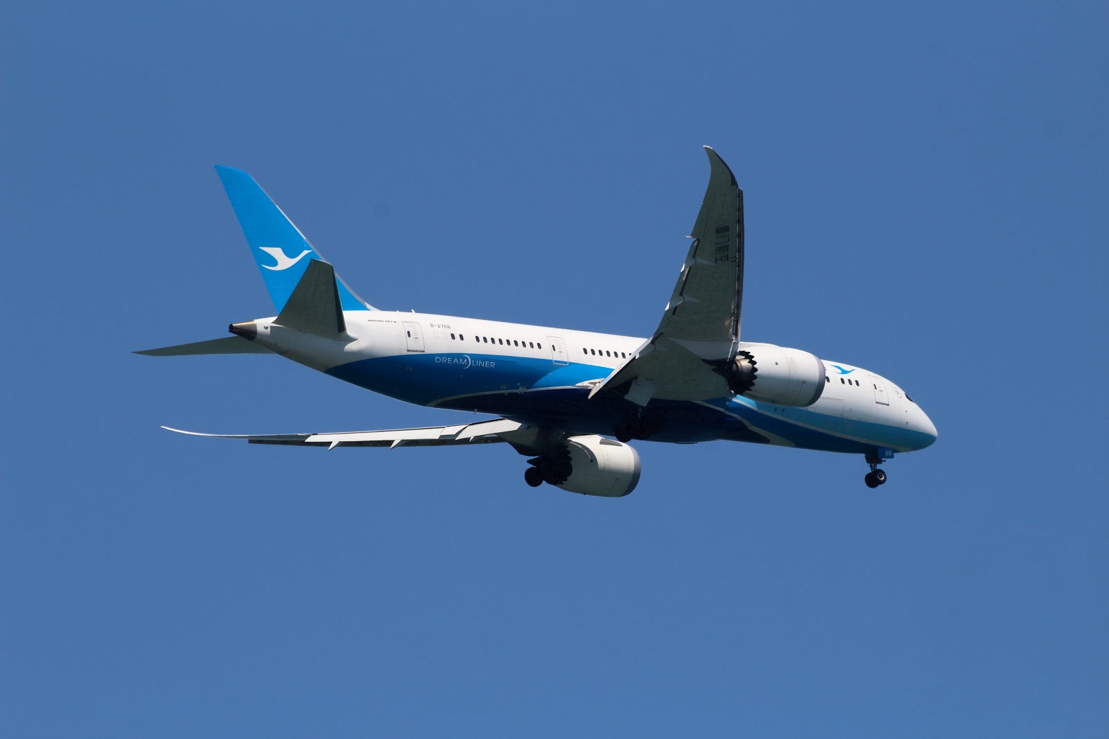 B-2768 (41538) 2014 Boeing 787-8 Dreamliner