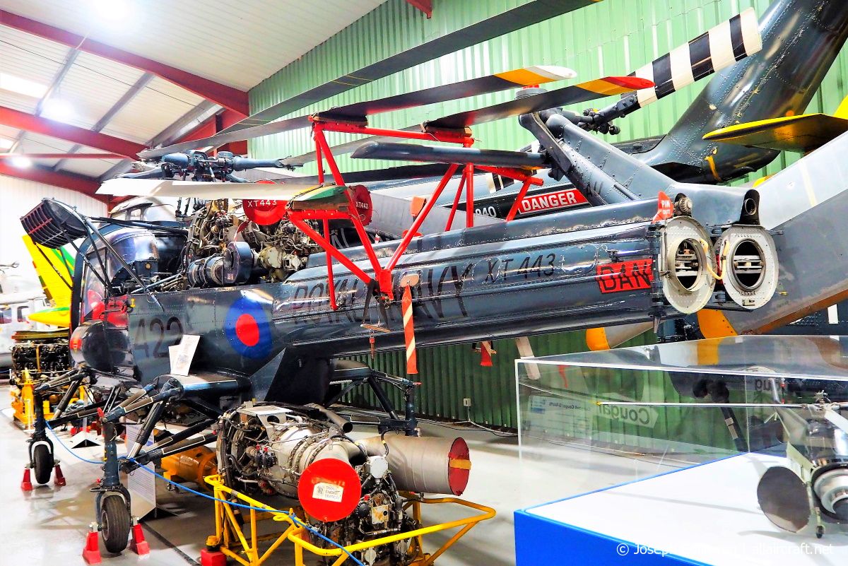 XT443 (F9613) 1966 Westland Wasp HAS.1