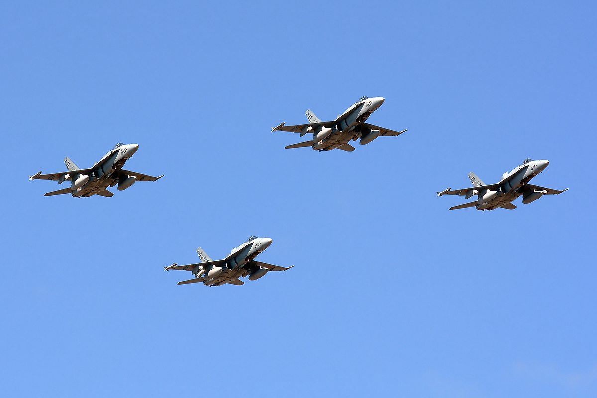 C.15-77 / 46-05 McDonnell Douglas F/A-18A Hornet