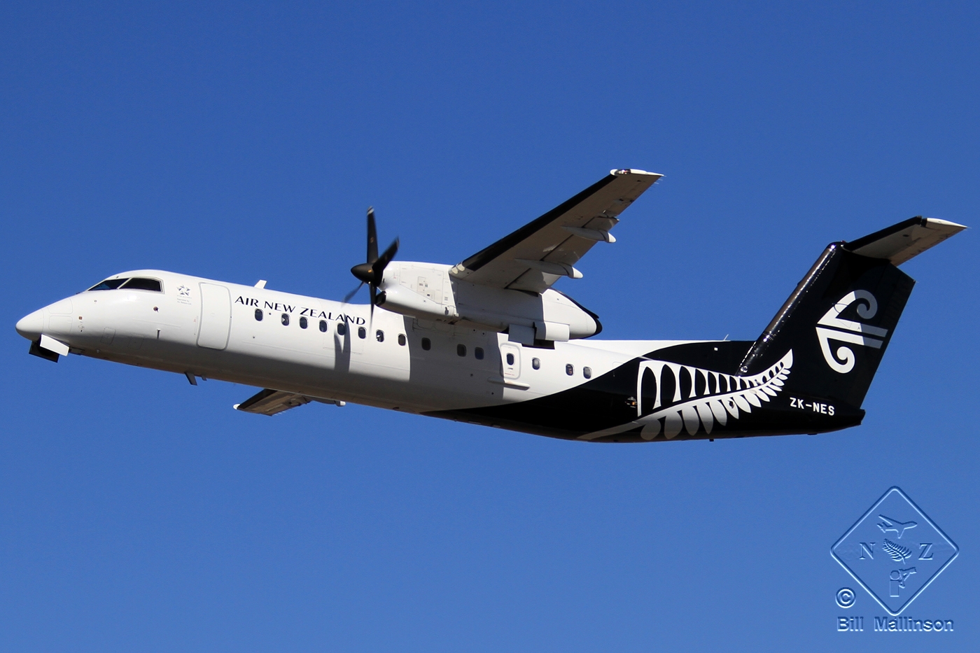 ZK-NES (cn 00641) Dash 8-Q311