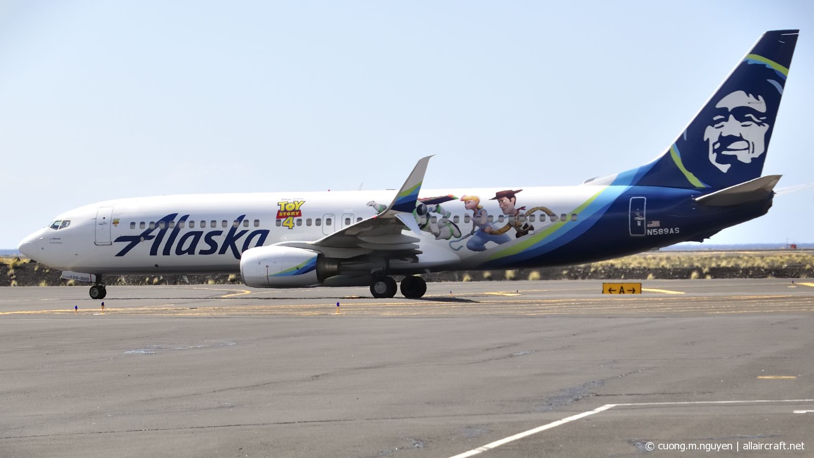 N589AS (cn 35686) Boeing 737-890