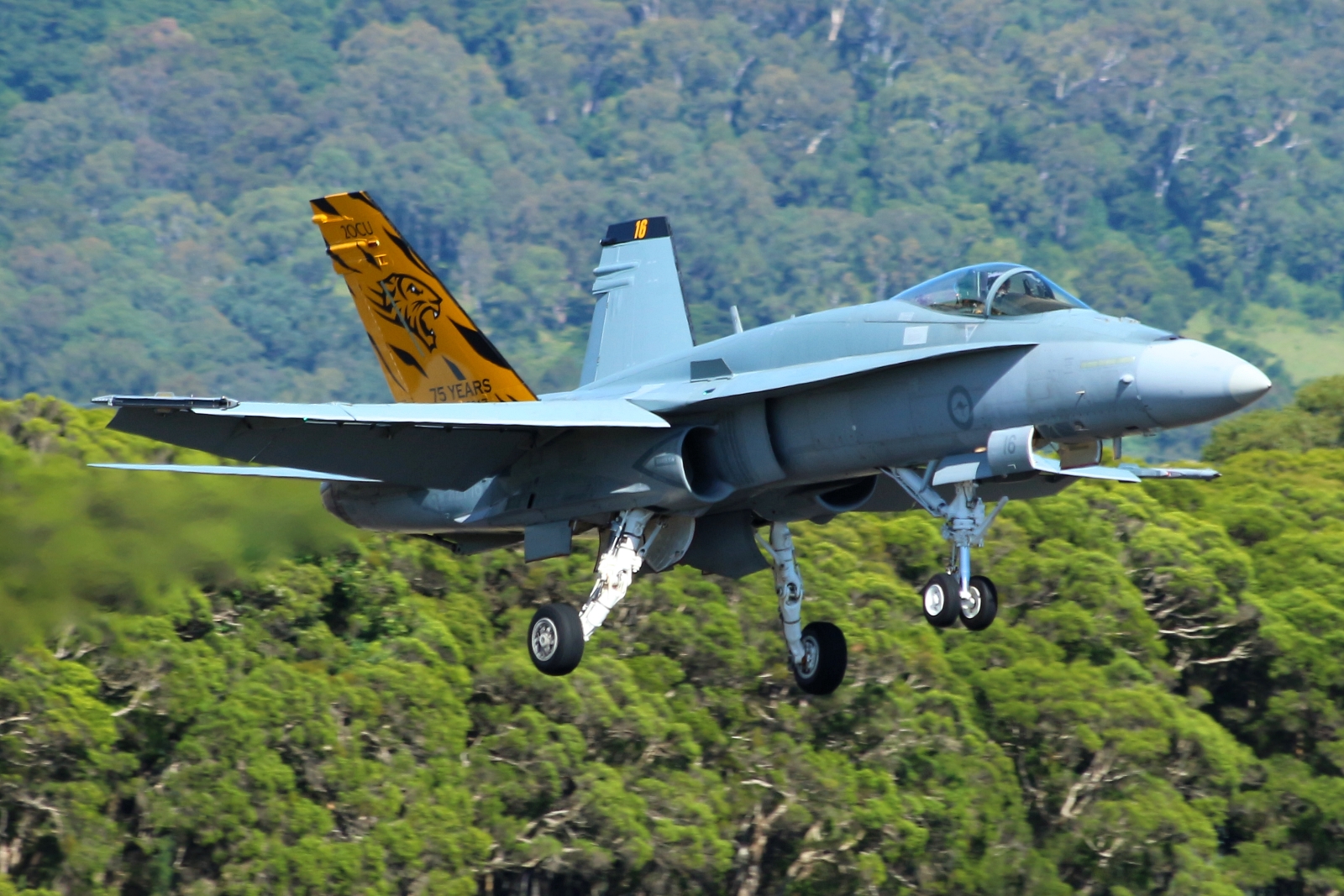 A21-16 (368/AF016) McDonnell Douglas F/A-18A Hornet
