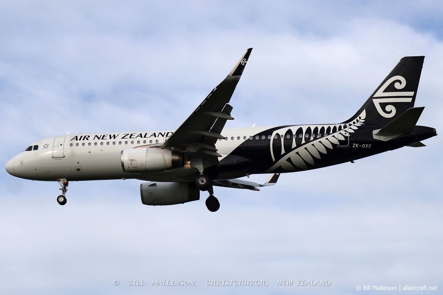 ZK-OXC (5847) 2013 Airbus A320-232(WL)