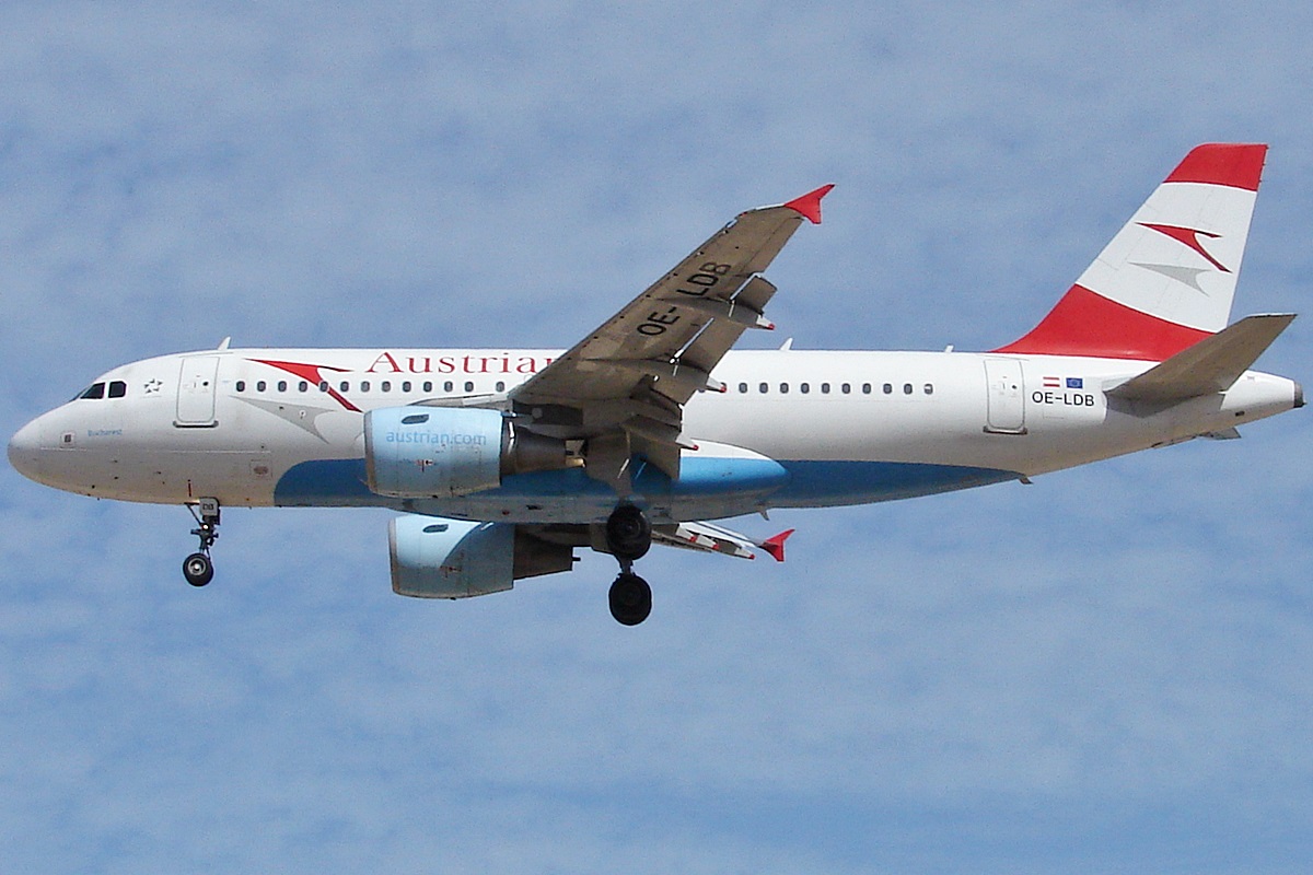 OE-LDB (2174) 2004 Airbus A319-112