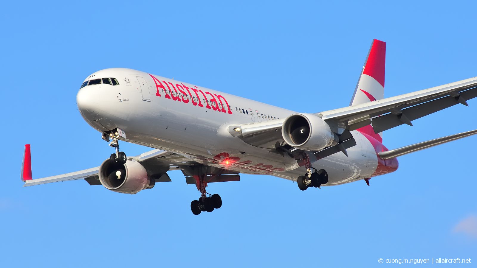 OE-LAY (29867) 1998 Boeing 767-3Z9ER(WL)