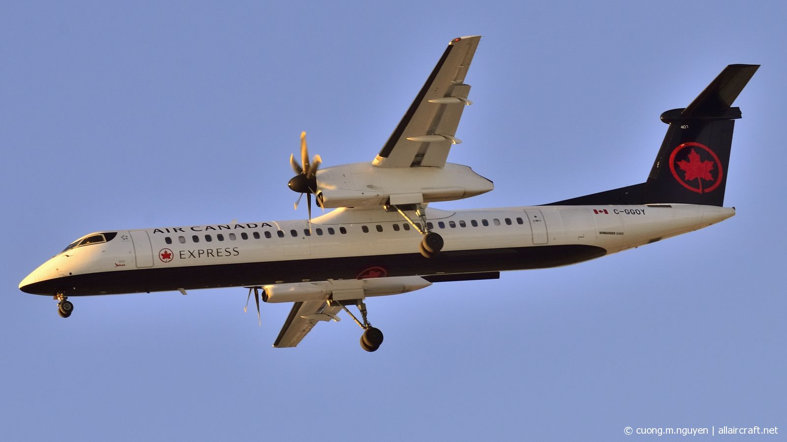 C-GGOY (4365) 2011 Bombardier Dash 8-Q402