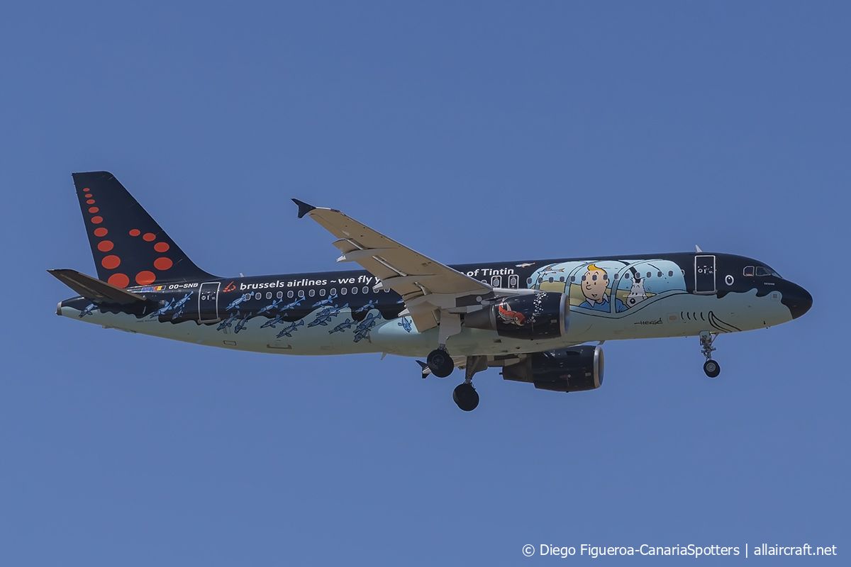 OO-SNB (1493) 2001 Airbus A320-214