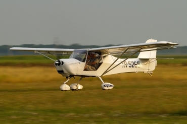 YR-5265 Apollo Fox