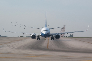 EI-DCL (33806) 2004 Boeing 737-8AS(WL)