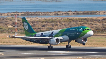 EI-DEO (2486) 2005 Airbus A320-214