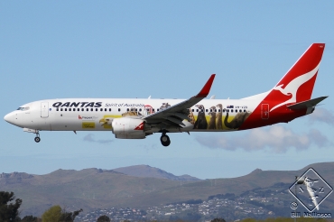 VH-VZD (34198) 2008 Boeing 737-838(WL)