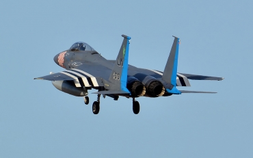 84-0010 (0919/C313) McDonnell Douglas F-15C Eagle