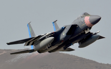 84-0010 (0919/C313) McDonnell Douglas F-15C Eagle