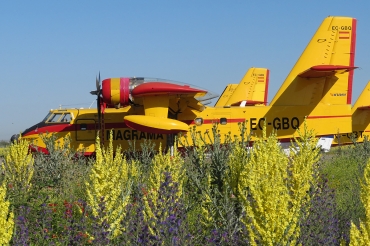 EC-GBQ (1033) 1973 Canadair CL-215-1A10