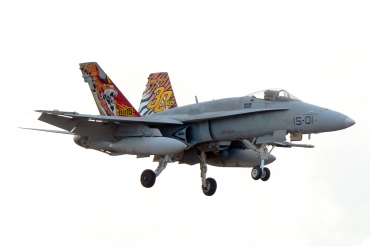 C.15-14 / 15-01 McDonnell Douglas EF-18A Hornet
