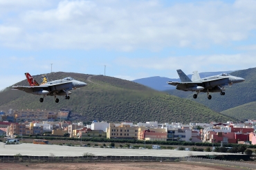 C.15-41 / 15-28 McDonnell Douglas EF-18A Hornet