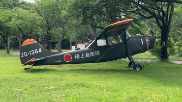 11364 (FL-19) Cessna L-19E Bird Dog