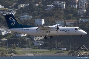 ZK-NEU (cn 0647) Dash 8-Q311