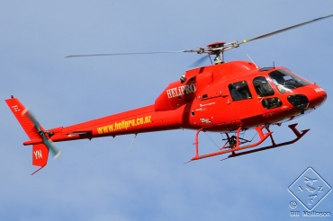ZK-HYN (5286) 1983 Aerospatiale AS 355F1 Ecureuil 2