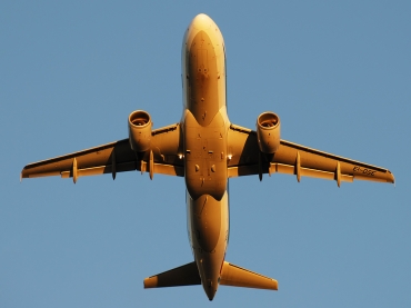 EI-DSE (3079) 2007 Airbus A320-216