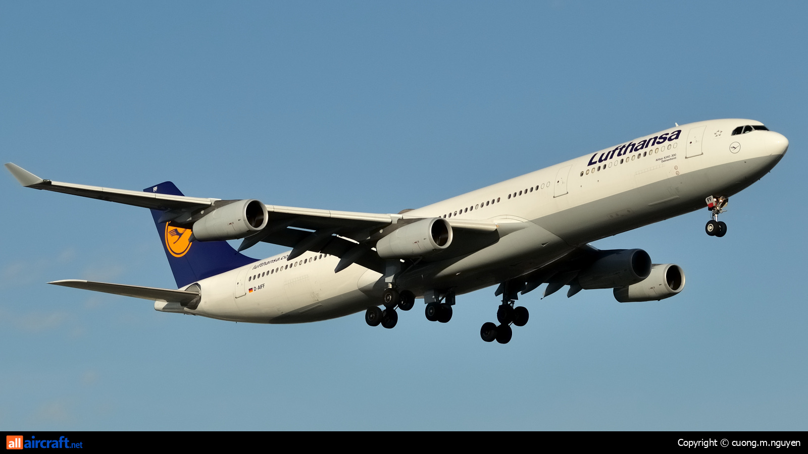D-AIFF · Airbus A340-313 · (YUL / CYUL)