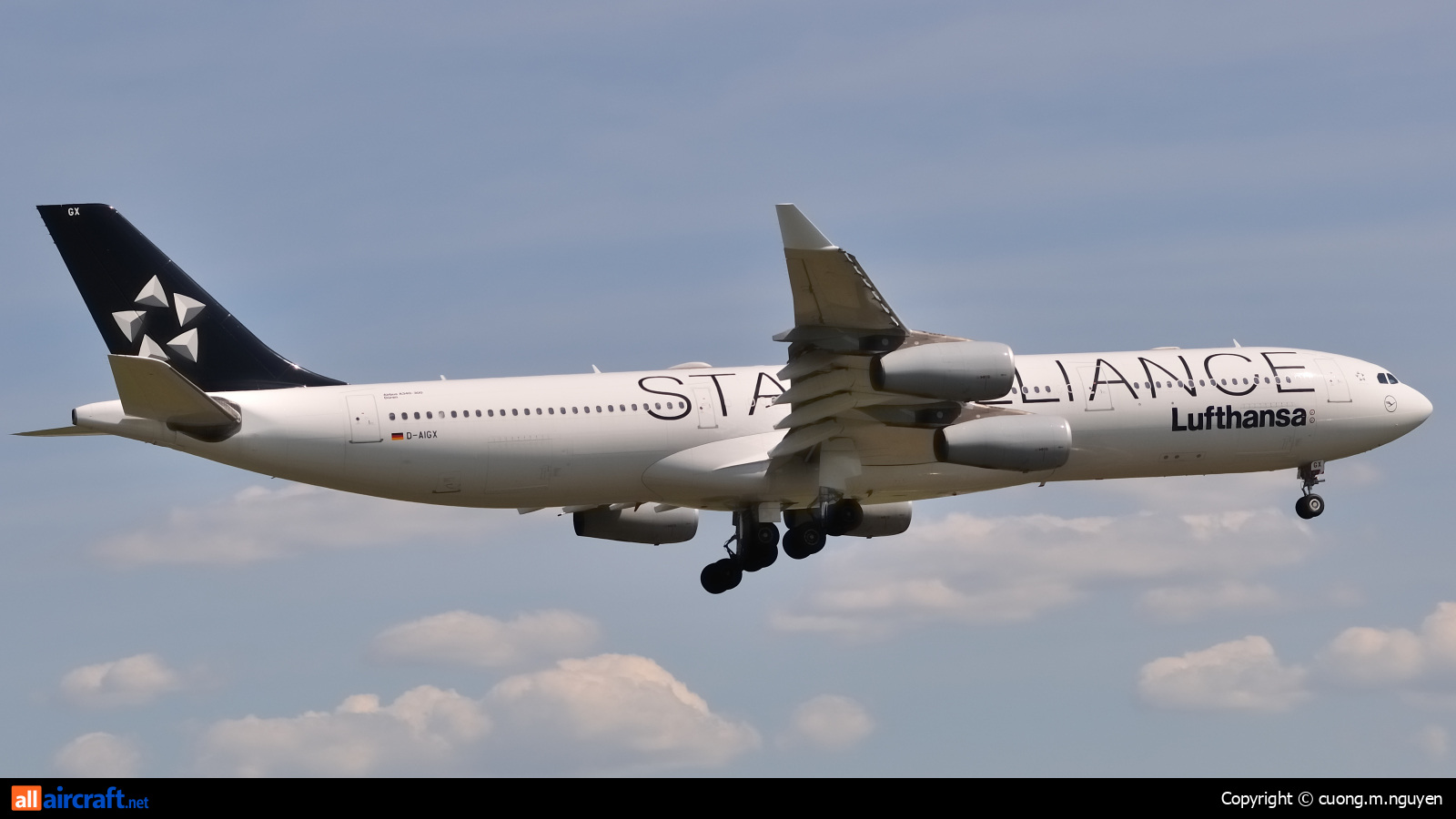 D-AIGX · Airbus A340-313 · (YUL / CYUL)