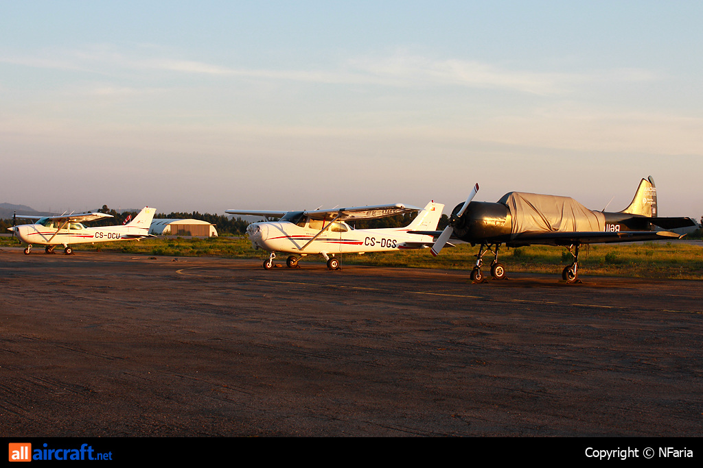 CS-DGS · Cessna 172R Skyhawk · (LPVL)