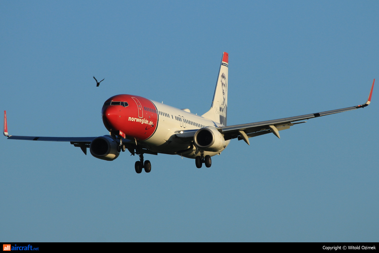 LN-NOF · Boeing 737-86N(WL) · (SVG / ENZV)