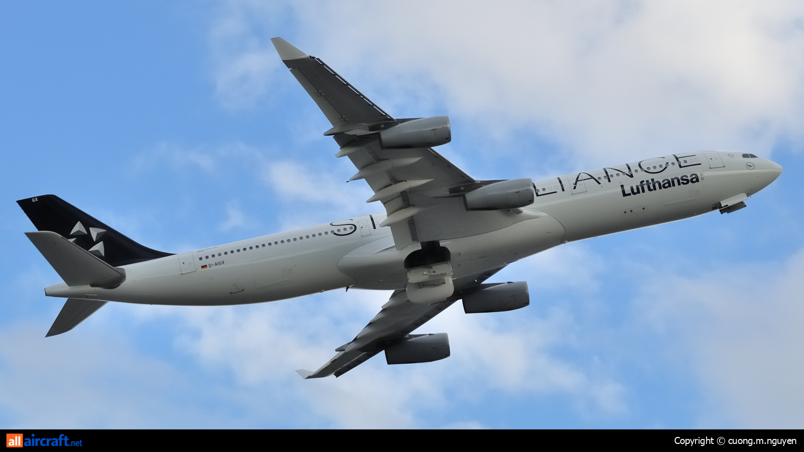 D-AIGX · Airbus A340-313 · (YUL / CYUL)