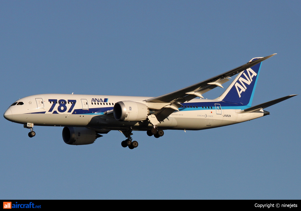 JA812A · Boeing 787-8 Dreamliner · (HND / RJTT)