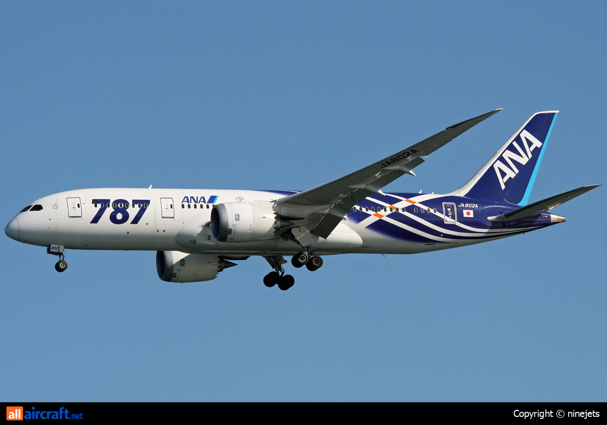 JA802A · Boeing 787-8 Dreamliner · (HND / RJTT)