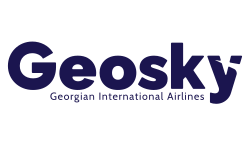 Geo-sky logo