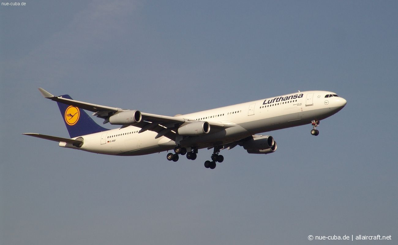 D-AIGF · Airbus A340-311 · (FRA / EDDF)