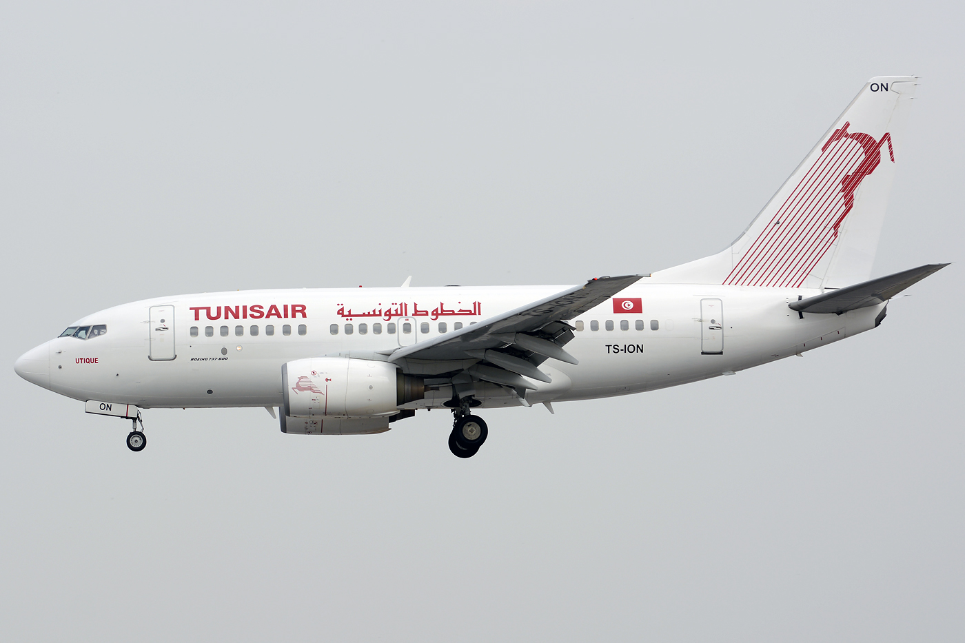 TS-ION · Boeing 737-6H3 · (LIS / LPPT)