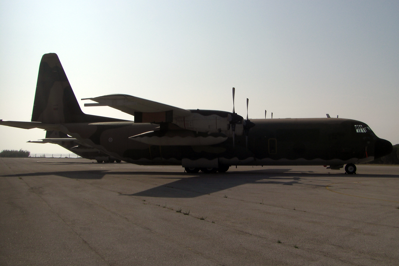16804 · Lockheed C-130H Hercules · (LPMT)