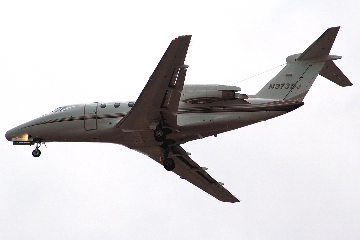 N373DJ · Cessna 650 Citation III · (AGP / LEMG)