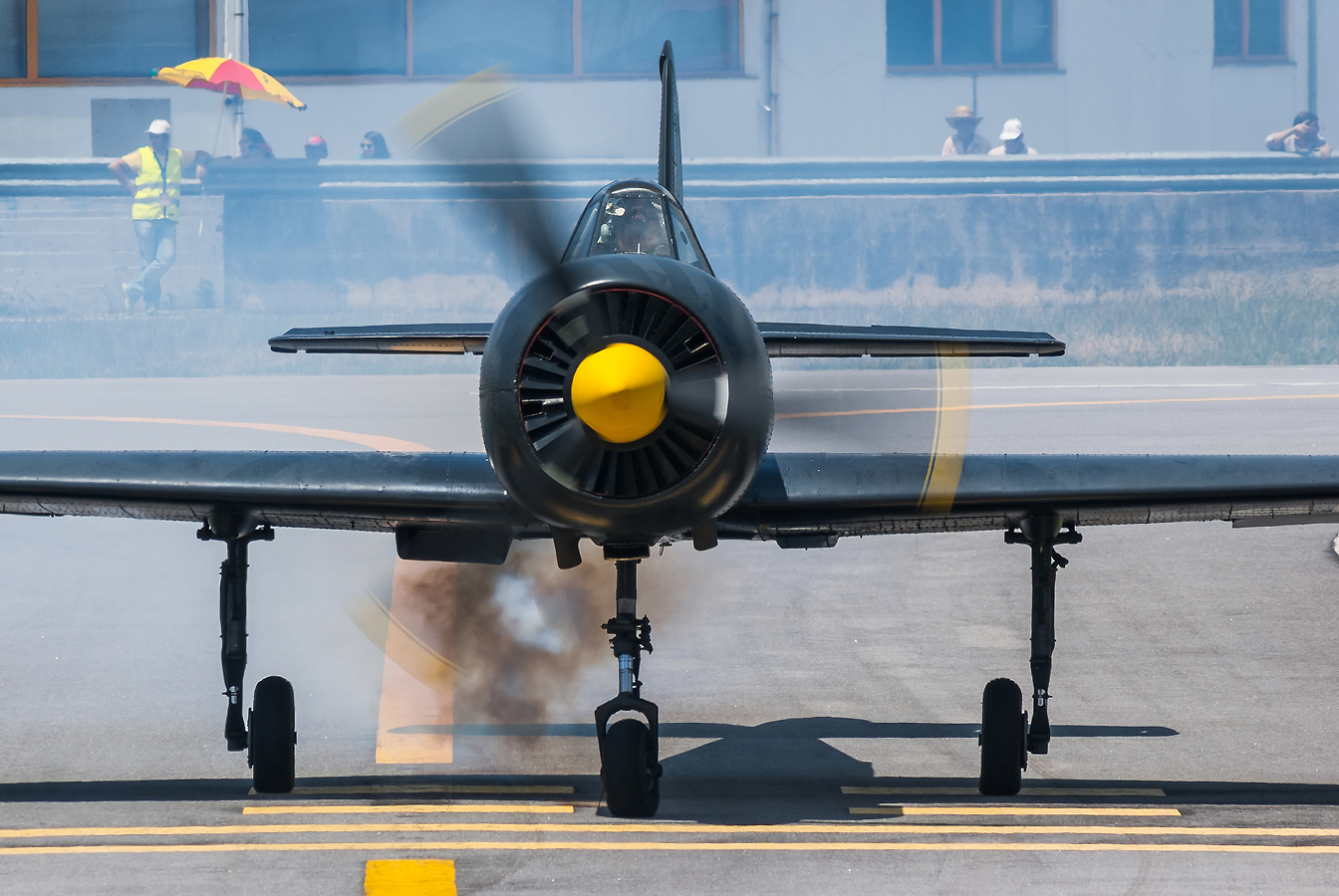 SP-YEL · Yakovlev Yak-52 · (BGZ / LPBR)
