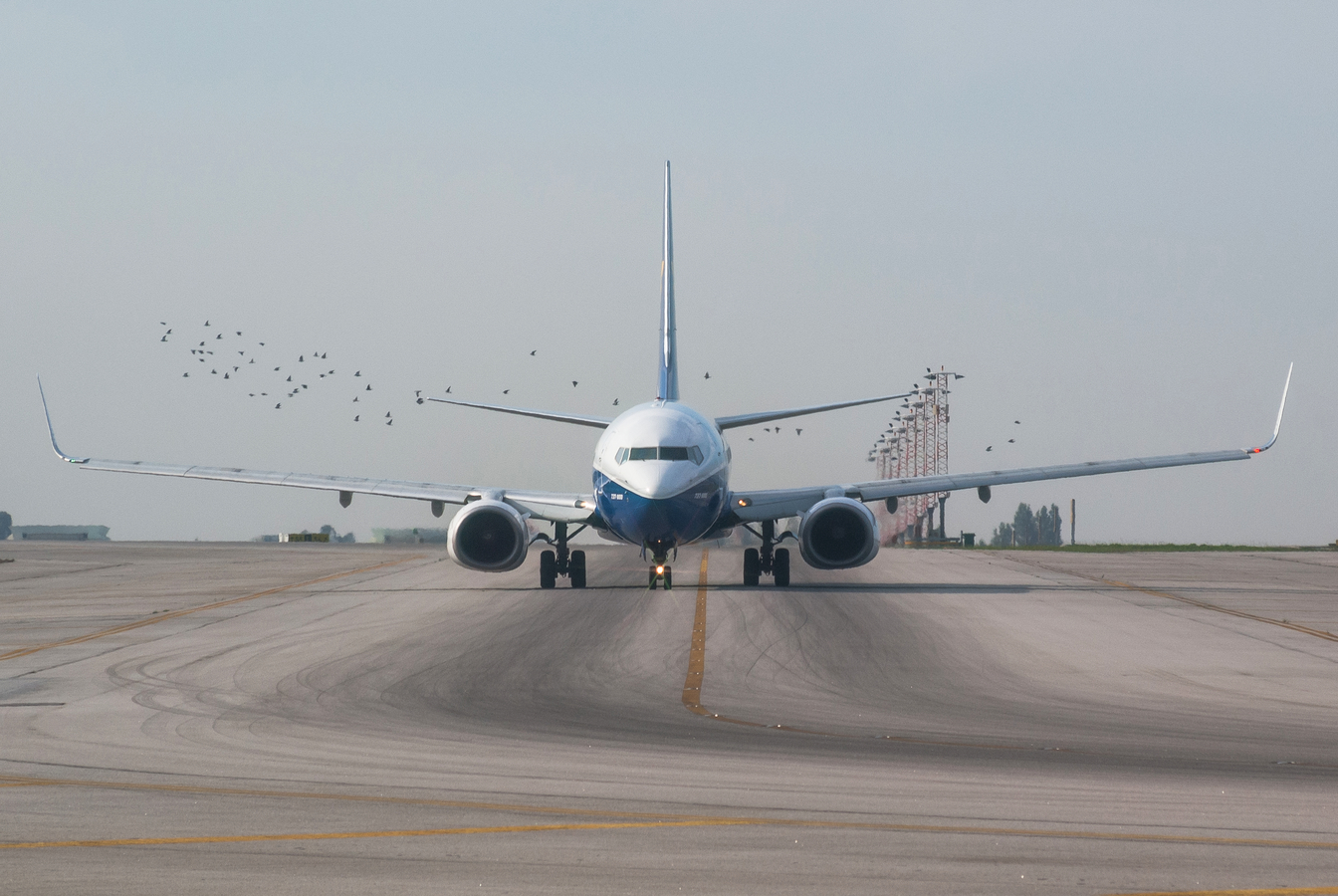 EI-DCL · Boeing 737-8AS(WL) · (OPO / LPPR)